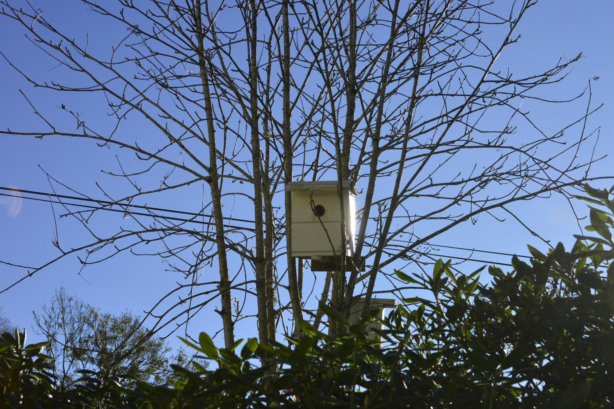 Guesthouse In Manger, Radoy Island Kolstad Εξωτερικό φωτογραφία